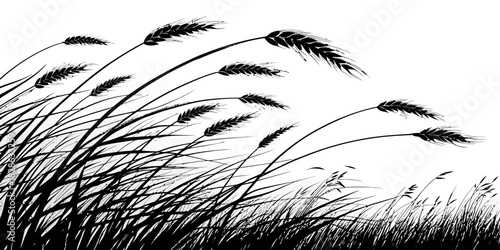 Black and white illustration of wheat stalks blowing in the wind on a light background