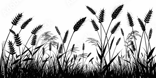 Silhouette of wheat and grass plants in a field against a white background design
