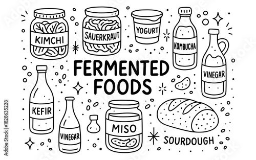 Fermented foods: kimchi, kombucha, miso, and sourdough in doodle style