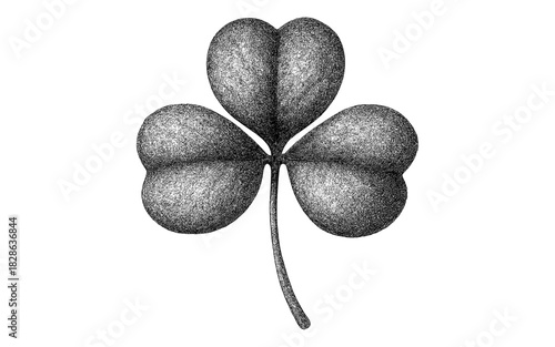 Hand drawn detailed three leaf clover with stipple shading