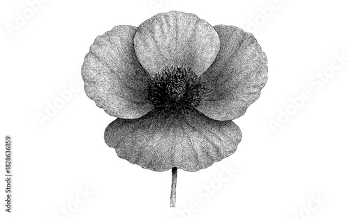 Detailed black and white stippling flower art on white background