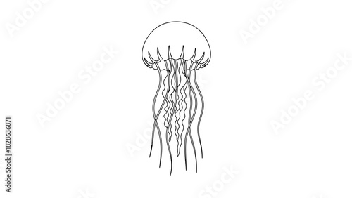 Simple black outline illustration of a jellyfish in a minimalist style