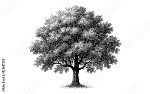 Detailed stippled tree art on white background featuring bold canopy