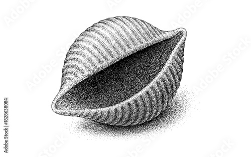 Intricate stippled shell: detailed monochrome pointillism art of a seashell