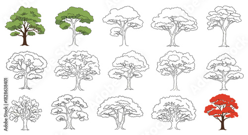 A diverse collection of hand-drawn tree illustrations, featuring both vibrant green and red trees alongside many detailed outline sketches.