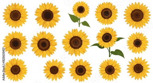 A vibrant collection of various sunflowers in different sizes and perspectives, some with green stems and leaves, set against a clean white background.