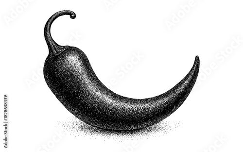 Detailed dotwork chili pepper on white background