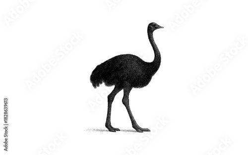Pointillism ostrich silhouette art on white background