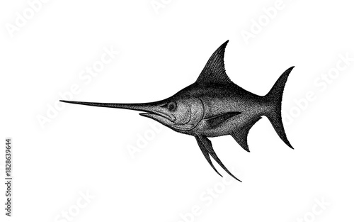Detailed dotwork swordfish swimming with style in black and white