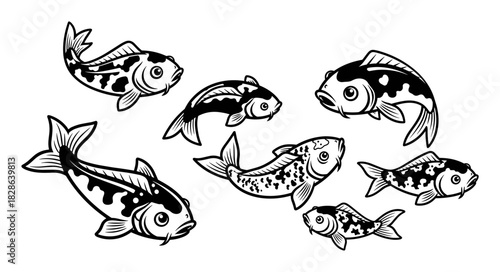 Collection of Koi Fish Illustrations in Black and White.