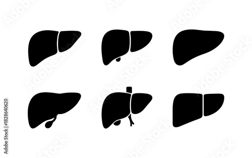 Liver anatomy silhouettes set: medical icons illustrating human liver shapes