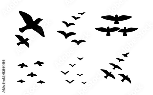 Silhouette bird flock patterns for creative designs