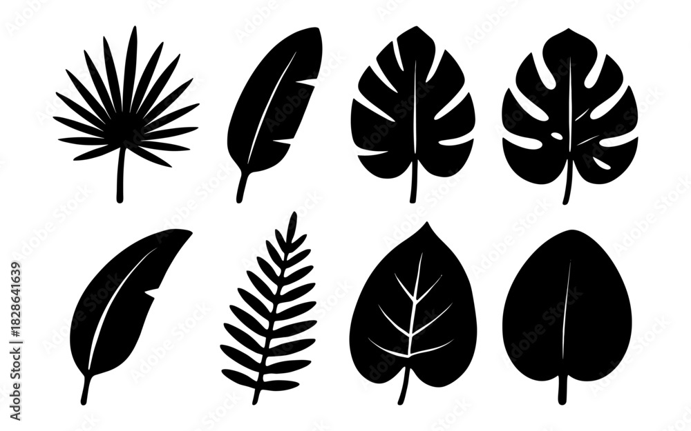 Obraz premium Silhouette collection of tropical and exotic leaf designs in black