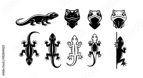 Collection of Black and White Lizard Illustrations in Various Po