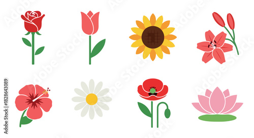 Assorted flowers collection with transparent background