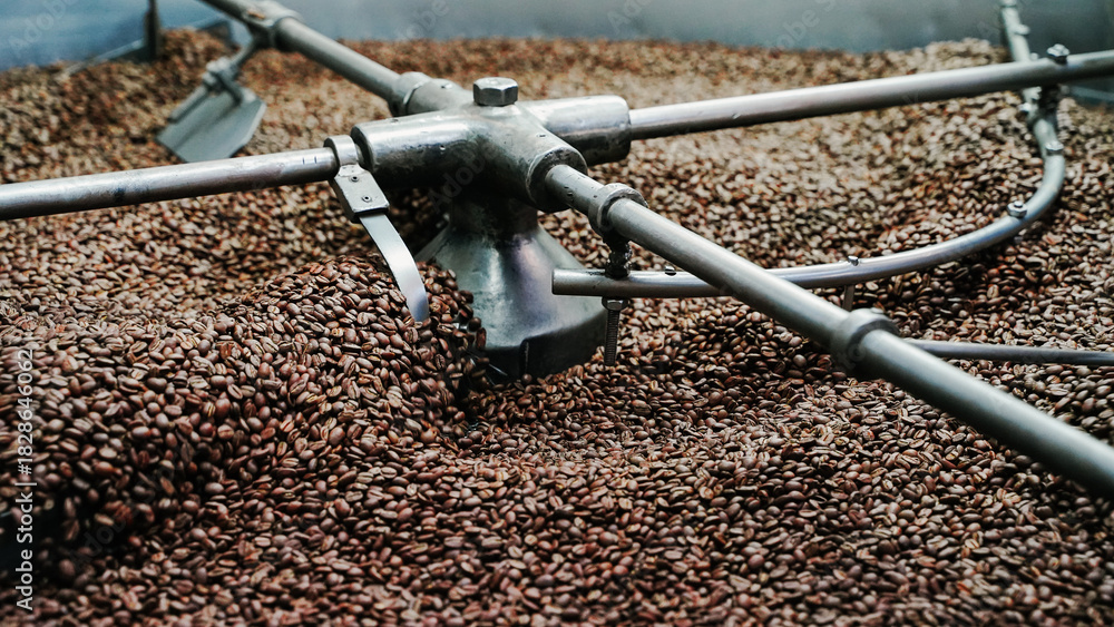 Fototapeta premium coffee roasting machine stirring fresh beans inside the large metal drum at an industrial facility