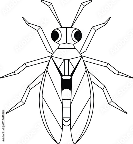 Geometric insect vector illustration, black and white bug line art, symmetrical beetle design, isolated on white background, perfect for logo.