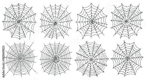 Spider webs collection with transparent background