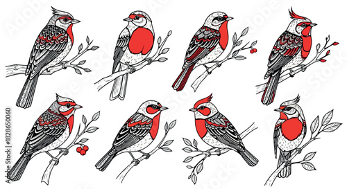 Red-breasted birds perched on branches