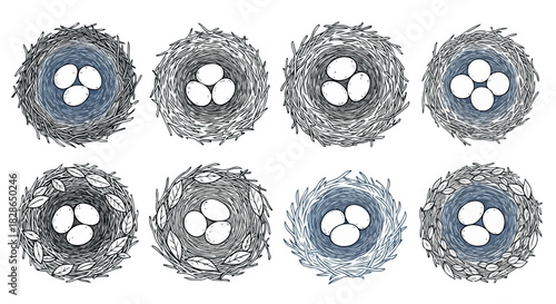 Bird nests with eggs, hand-drawn style