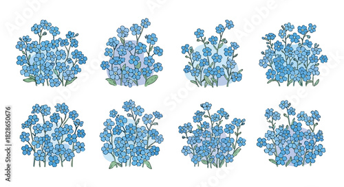 Forget-me-not flowers collection with transparent background