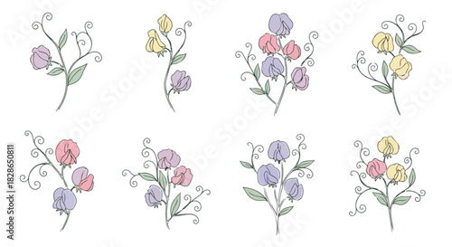 Sweet pea flower sprigs in pastel colors