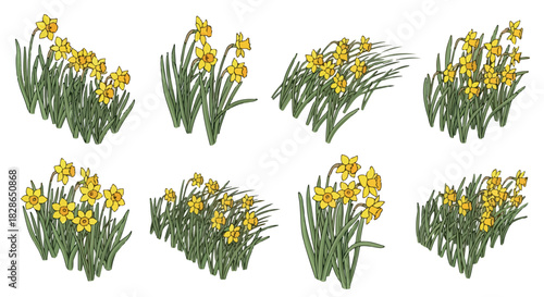 Yellow daffodils bunch collection springtime floral arrangement