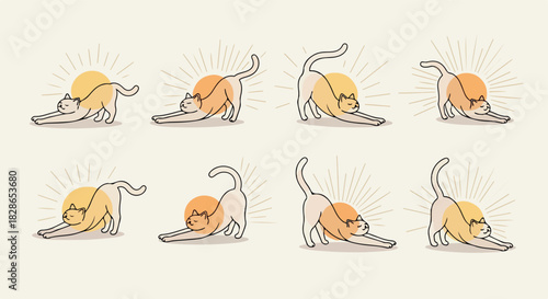 Stretching cat poses with sun rays