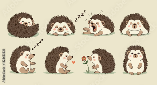 Cute hedgehog characters in various poses