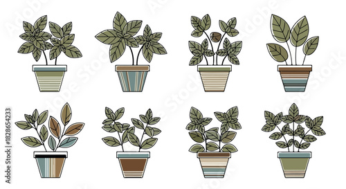 Potted plants collection in simple style