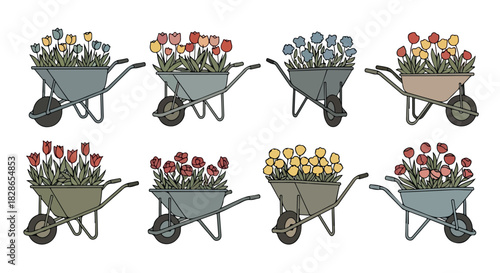 Flower-filled wheelbarrows in various colors
