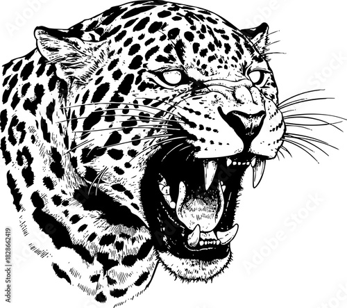 Aggressive roaring jaguar head line art illustration