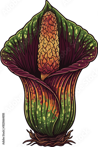Ultra Detailed International Corpse Flower Vector Illustration