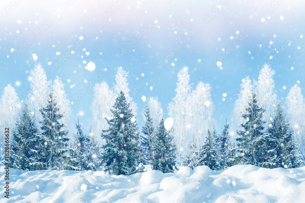 Fototapeta premium magical frozen trees. snow covered pine forest. winter landscape. Christmas bokeh. Greeting card.