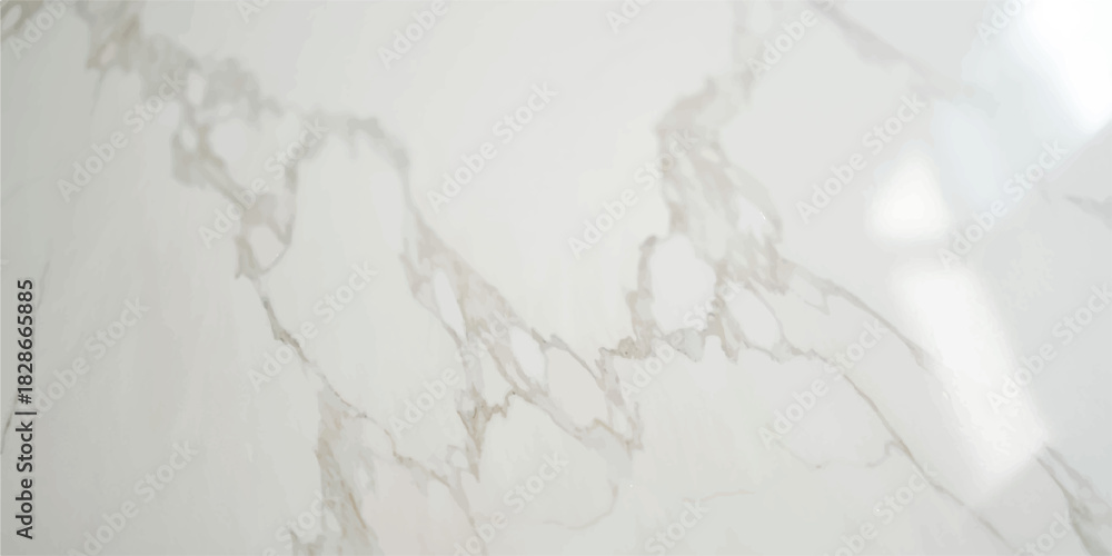 Obraz premium White wedding dress with veil on textured gray stone pattern wall surface backdrop