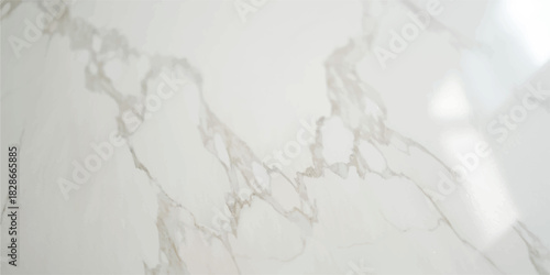 White wedding dress with veil on textured gray stone pattern wall surface backdrop