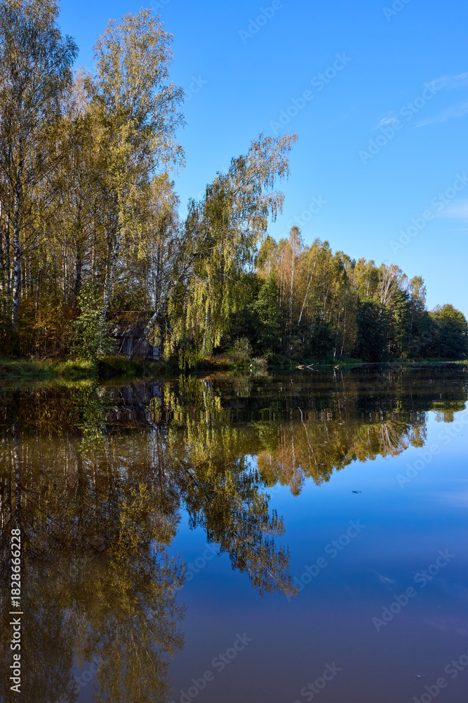 Obraz premium Tranquil River Reflections of Autumn Trees