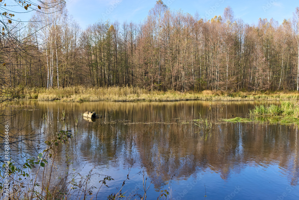 Obraz premium Tranquil view of the river bank in autumn
