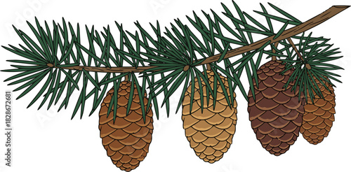 Create a pine branch with cone vector art with white background.