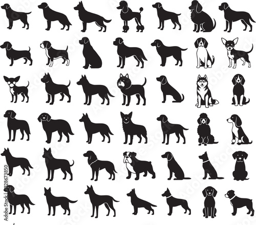 Silhouette illustration set of multiple dog breeds in various poses and body types, concept of canine diversity and pet identification