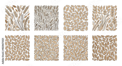 Wheat stalks and grains seamless pattern for backgrounds