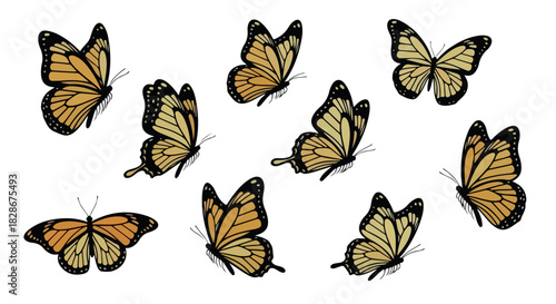 Monarch butterflies collection with transparent background
