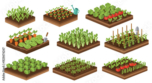 Vegetable garden rows with various produce and tools