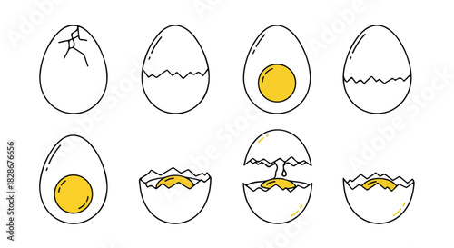 Egg stages outline set with transparent background