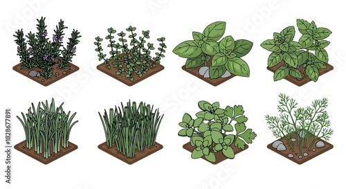Herb garden set with potted plants and stones
