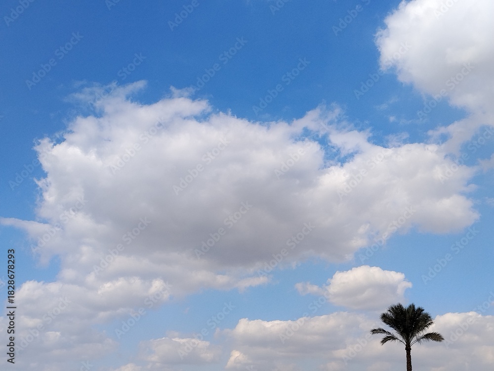 Obraz premium Fabulous Cloudscape in a magical blue sky 