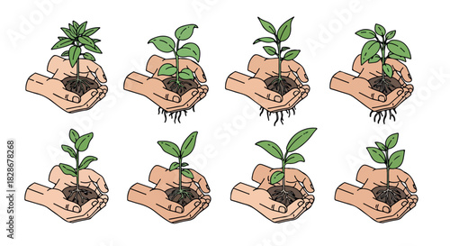 Hands holding seedling in soil, plant care concept