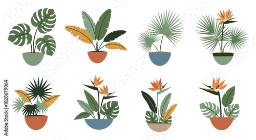 Potted tropical plants collection in modern style