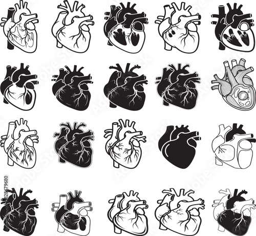 A collection of 20 different black and white anatomical heart illustrations, showcasing various styles and details. Perfect for medical presentations, educational materials, and