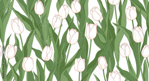 Delicate and seamless floral pattern of elegant white tulips with lush green leaves on a fresh and clean white background.